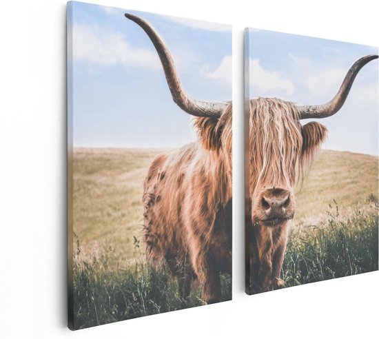 Artaza - Peinture sur toile Diptyque - Vache Highlander écossaise dans le pâturage - 80x60 - Photo sur toile - Impression sur toile