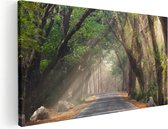 Artaza Canvas Schilderij Weg Omringd Met Bomen - 80x40 - Foto Op Canvas - Canvas Print