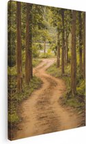 Artaza Canvas Schilderij Pad In Het Bos Met Bomen - 30x40 - Klein - Foto Op Canvas - Canvas Print