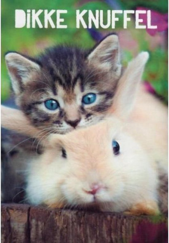 Dikke knuffel! Een schattige wenskaart met een kat bovenop een lief  konijntje.... | bol.com