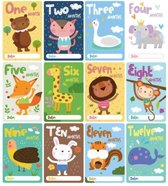 FSW-Products - 12 Stuks - Baby Milestone Cards - Mijlpaalkaarten - Kaart - Baby Kaarten - Babykaarten - Baby Cadeau - Kraam cadeau