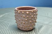 Plant 'n Bak - Pot Dot - Diameter 10 cm - Roze - Keramiek