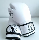Boxing Podjan - bokshandschoenen - 12 oz - wit
