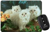 3 Perzische Kittens Muismat