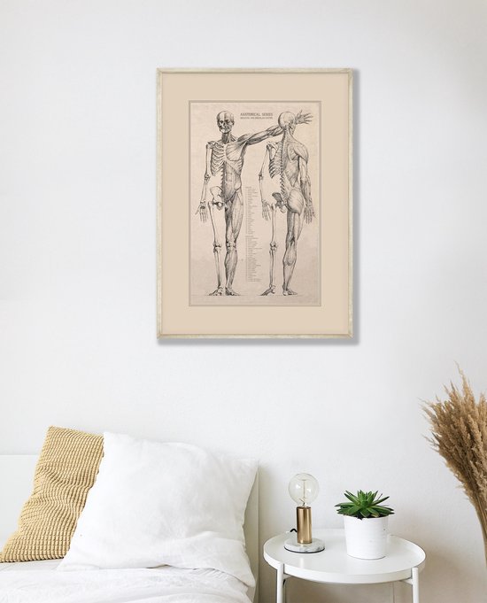 Vintage Poster Anatomie van Het Menselijk Lichaam - Skelet, Hart, Spieren en Organen - 50x70 cm