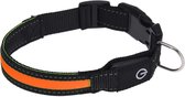 Dogs Collection Hondenhalsband Led 34-41 Cm Nylon Zwart/oranje