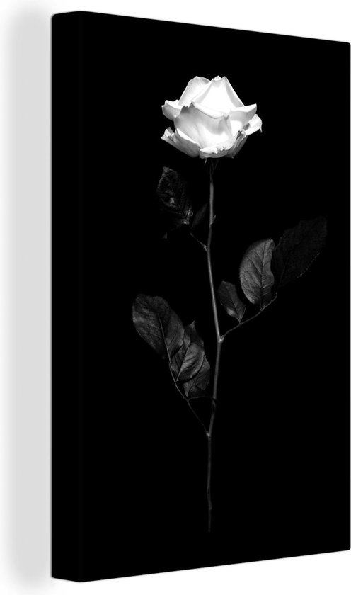 Canvas Schilderij Een witte roos op een zwarte achtergrond - zwart wit - 20x30 cm - Wanddecoratie