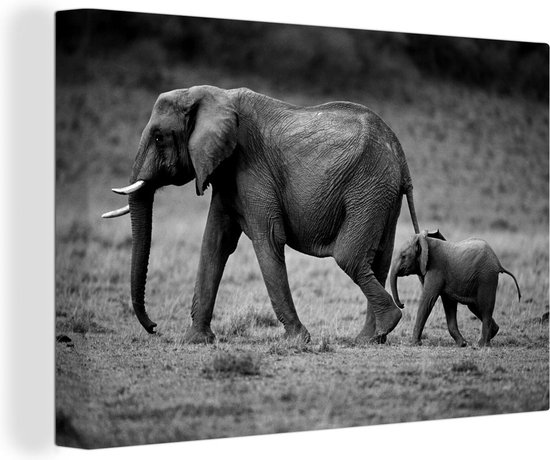 Canvas Schilderij Kind rent achter moeder olifant aan - zwart wit - 60x40 cm - Wanddecoratie