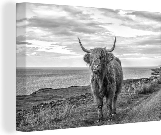Canvas Schilderij Schotse hooglander met de kustlijn op de achtergrond - zwart wit - 30x20 cm - Wanddecoratie