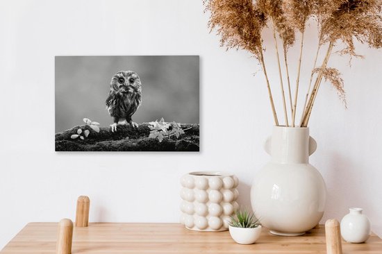 Peintures sur Toile - chouette - noir et blanc - 30x20 cm - Décoration murale