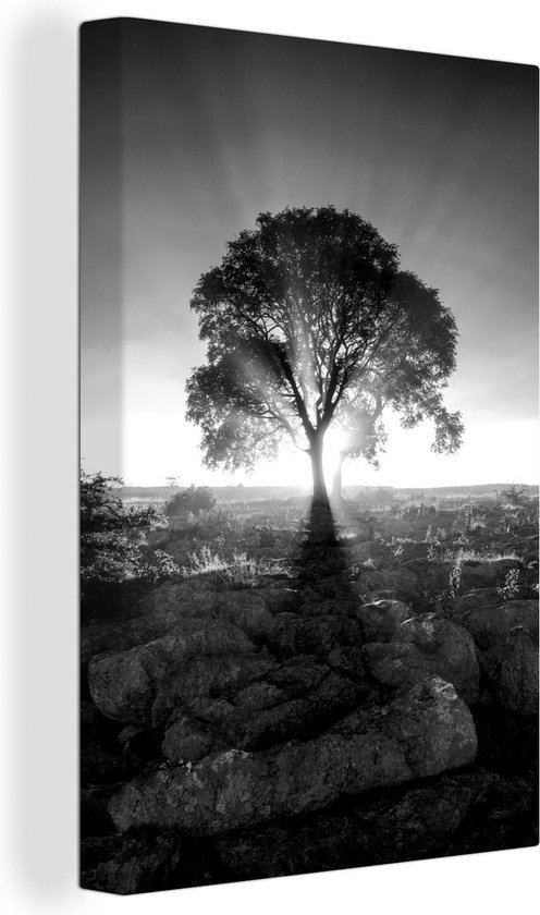 Canvas Schilderij Zonnestralen langs een boom op een mistige ochtend - zwart wit - 40x60 cm - Wanddecoratie