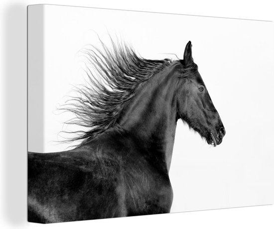 Canvas Schilderij Paard - Fries - Dieren - Zwart - Wit - 30x20 cm - Wanddecoratie