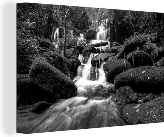 Tableau sur toile Cascade dans la for t noir et blanc 180x120