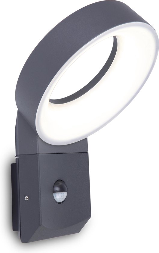 LUTEC Meridian - Kleine LED wandlamp voor buiten met sensor - Donkergrijs |  bol.com