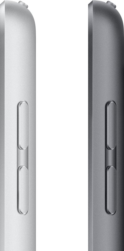 Apple iPad (2021) - 10.2 inch - WiFi - 256GB - Spacegrijs - Apple