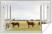 Poster Doorkijk - Paarden - Gras - 180x120 cm XXL