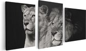 Artaza - Triptyque de peinture sur toile - Lion et lionne - Zwart Wit - 120x60 - Photo sur toile - Impression sur toile