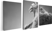 Artaza - Canvas Schilderij Drieluik - Brullende Leeuw - Zwart Wit  - 120x60 - Foto Op Canvas - Canvas Print