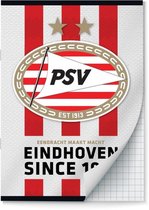 PSV - A4 Ruit schrift - BTS 21-22 - 2 Pak