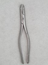 Belux Surgical /  Tandheelkundig extractie tang lower wisdom teeths