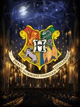 Diamond Painting - Harry Potter - Hogwarts / Zweinstein - 30x40cm - Vierkante Steentjes - Compleet Pakket - Voor volwassenen en kinderen