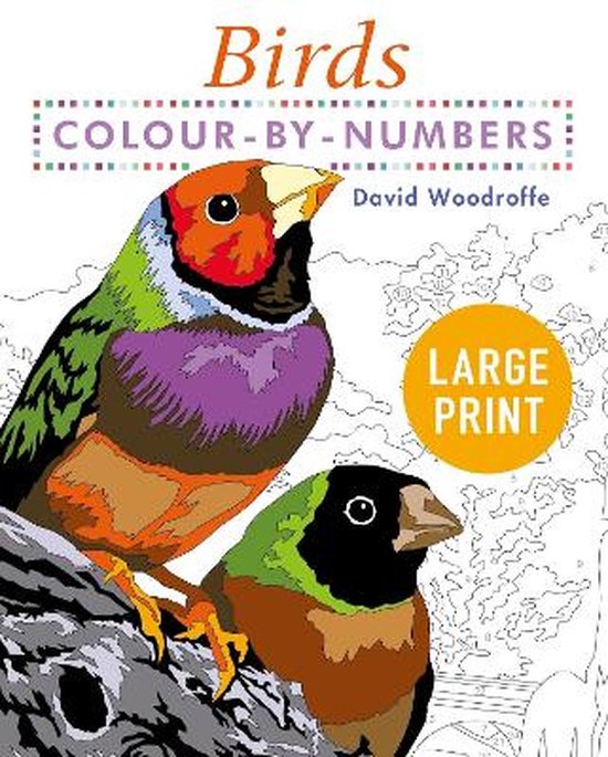 Arcturus Large Print Colour by Numbers Collection- Large Pri ... - cover
