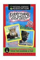 Everything You Should Know About