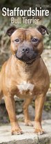 Staffordshire Bullterrier - Staffies 2022