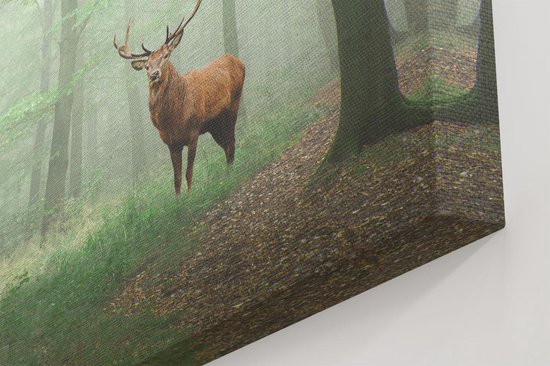 Artaza - Peinture sur toile - Cerf dans la forêt - 60 x 80 - Photo sur toile - Impression sur toile
