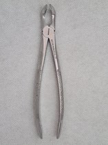 Belux Surgical / Tandheelkundig extractie tang anatomically shaped lower wisdom