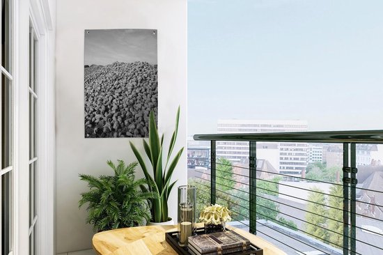 Décoration de jardin Un gros tas de betteraves sucrières - noir et blanc - 40x60 cm - Affiche jardin - Toile jardin - Affiche extérieur