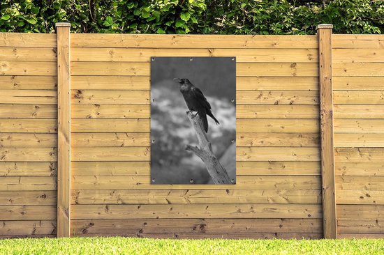 Affiche jardin - Toile Posters de jardin extérieur - Un corbeau noir sur une branche cassée - noir et blanc - 80x120 cm - Jardin