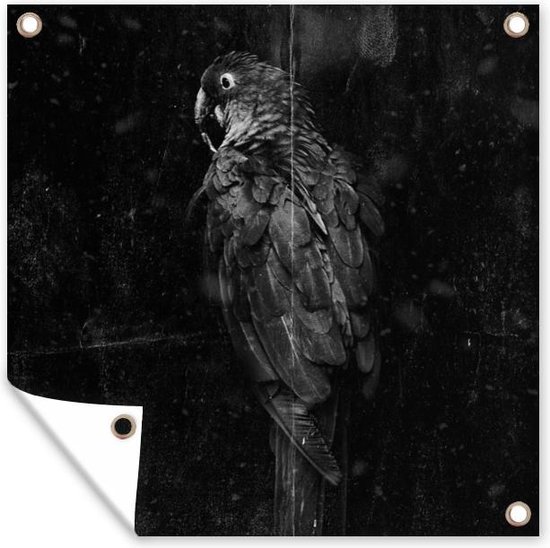 Posters de jardin Perroquet doré sur fond noir plein de texture - noir et blanc - 50x50 cm - Toile jardin - Affiche extérieure.