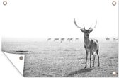 Muurdecoratie Hert met groot gewei voor kudde - zwart wit - 180x120 cm - Tuinposter - Tuindoek - Buitenposter