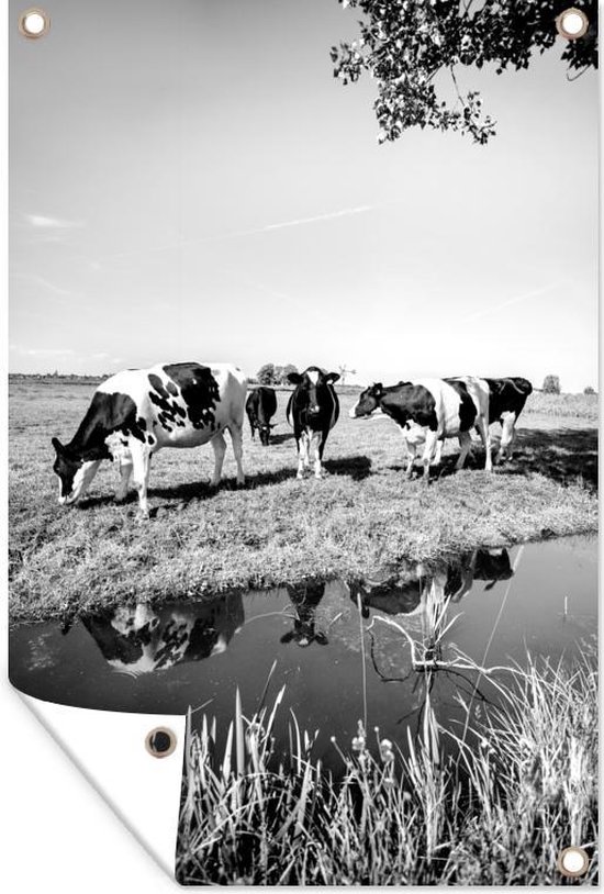 Tuinposters Buiten Koeien Staan Naast De Sloot Zwart Wit 60x90 Cm 