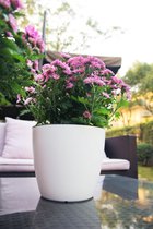 Bloempot wit 3 liter - zelfwaterende bloempot - bloempot met waterreservoir - kunststof bloempot - 22 CM breed - bloembak met waterreservoir - zelf water gevende bloempot