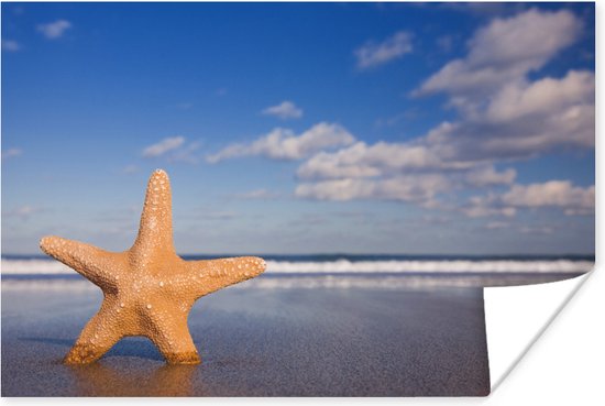 L' étoile de mer Oranje se tient debout devant la côte Poster 180x120 cm - Tirage photo sur Poster (décoration murale salon / chambre) / Poster Pêche XXL / Groot format! / Mer et plage