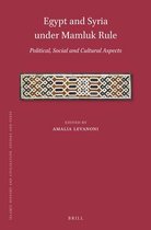 Egypt and Syria under Mamluk Rule