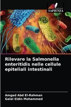 Rilevare la Salmonella enteritidis nelle cellule epiteliali intestinali
