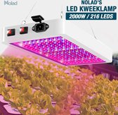 Nolad® | Professionele LED Kweeklamp | Groeilamp | Kweeklamp | Kweektent | Full Spectrum Bloei | Kweeklamp Groei en Bloei | Wit | Energiebesparend | Plug and Play | Waterdicht | 2000W | 216 L