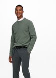 Man in groene crewneck trui, wit overhemd en geruite broek, lachend.