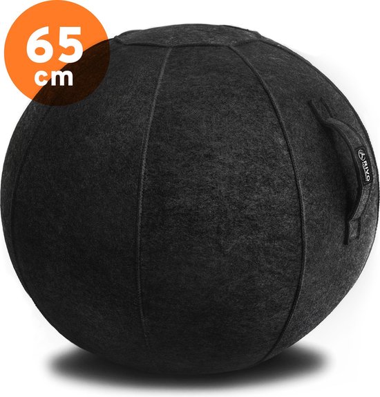 RIVO Dynabal - Zitballen - Ø 65cm – Hoogwaardige Ergonomische Zitbal - Antraciet