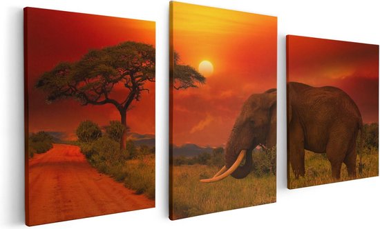 Artaza Canvas Schilderij Drieluik Olifant In Het Wild Tijdens Zonsondergang - 120x60 - Foto Op Canvas - Canvas Print