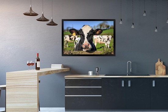 Affiche avec cadre Vache - Clôture - Herbe - Animaux - 90x60 cm