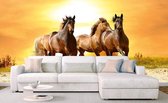 Dimex Horses in Sunset Vlies Fotobehang 375x250cm 5-banen