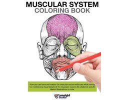 Muscular System Coloring Book