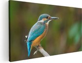 Artaza Canvas Schilderij Blauwe IJsvogel Op Een Tak - 100x50 - Groot - Foto Op Canvas - Canvas Print