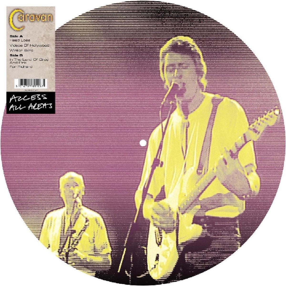 Access All Areas (Picture Disc)