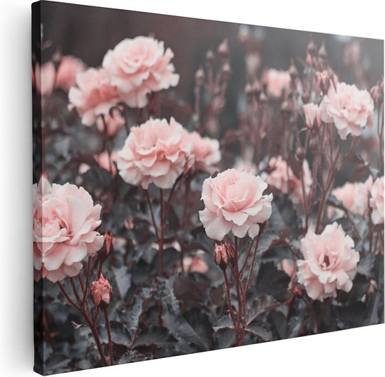 Artaza Canvas Schilderij Roze Rozen Bloemen  - 40x30 - Klein - Foto Op Canvas - Canvas Print
