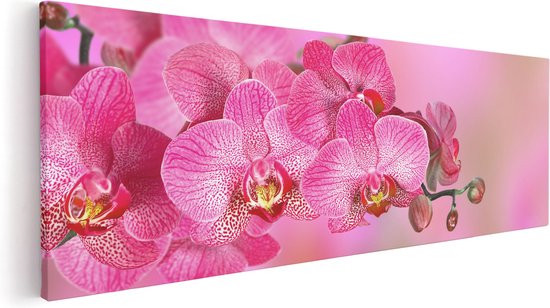 Artaza Canvas Schilderij Roze Orchidee Bloemen - 90x30 - Foto Op Canvas - Canvas Print
